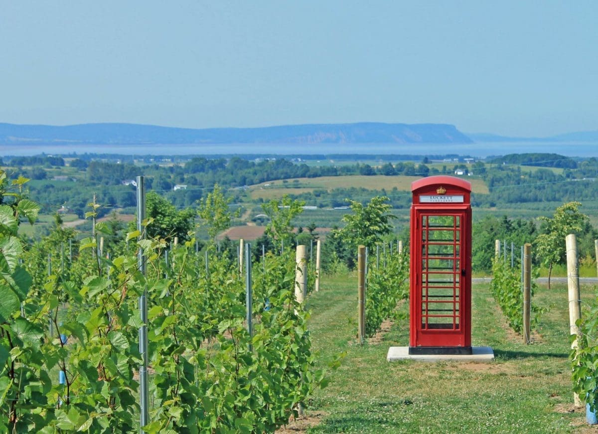 nova scotia day trips from halifax