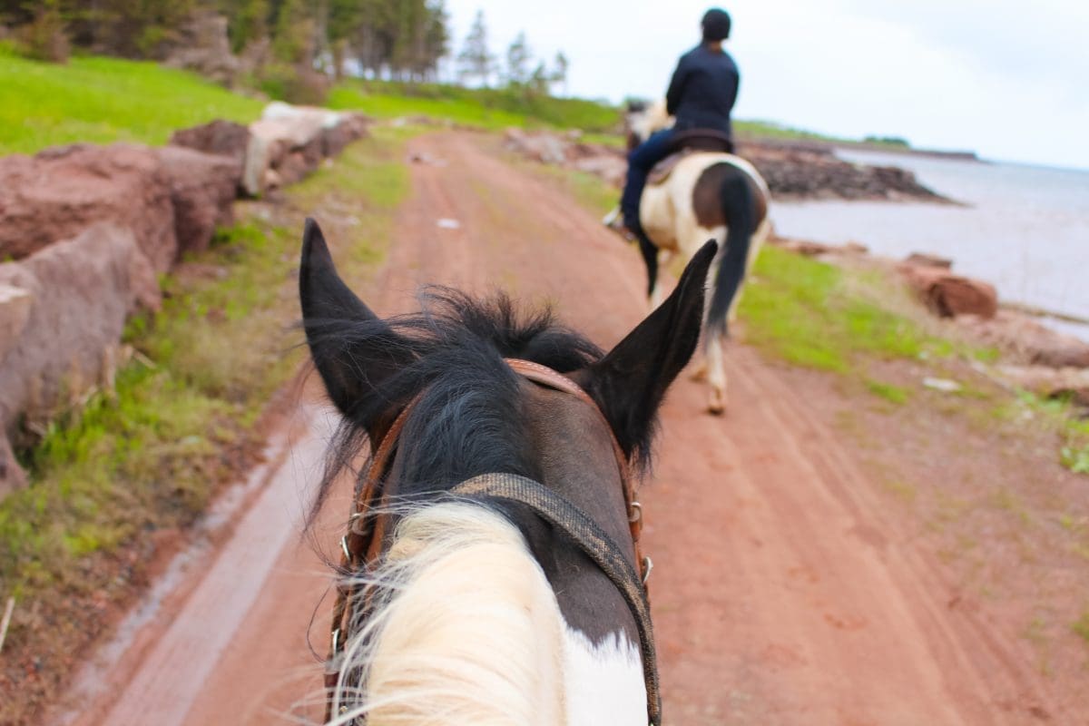 Trail Ride at Fox Harbr