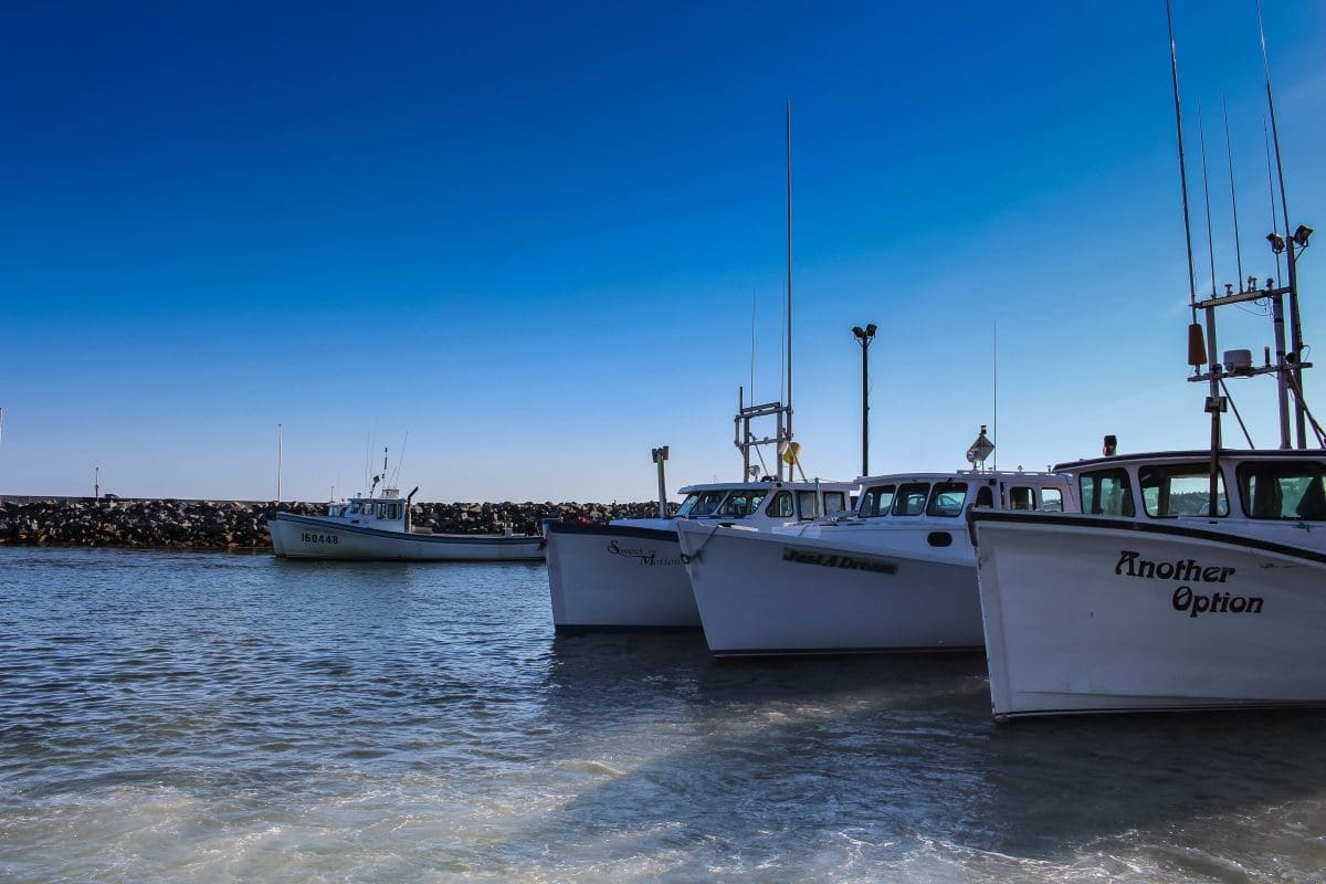 Pictou Island