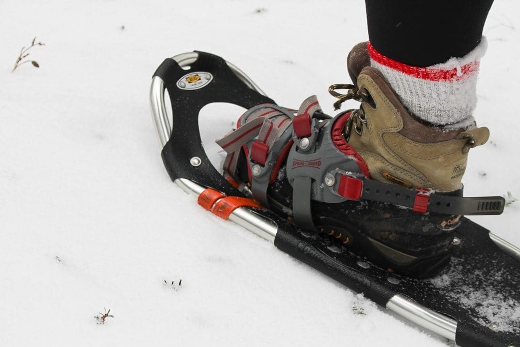 snowshoe Vermont