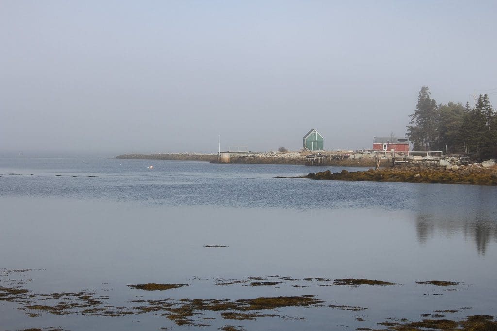 Peggy's Cove & Area2