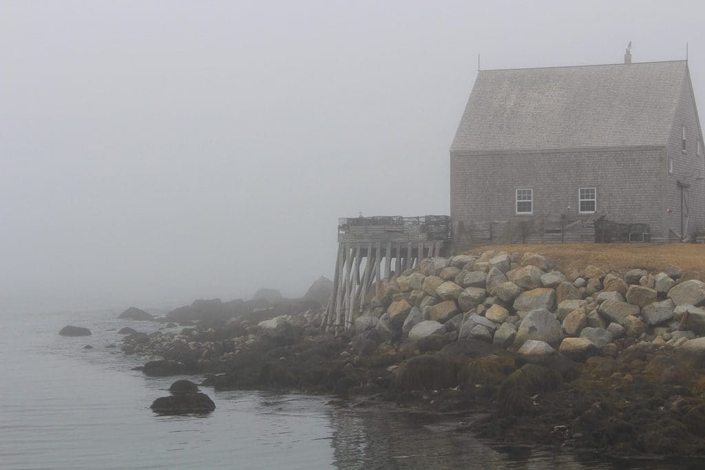 Peggy's Cove & Area24