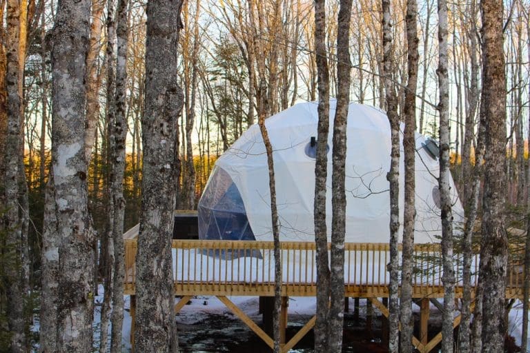 Treetop Haven-7 Treetop Haven-7