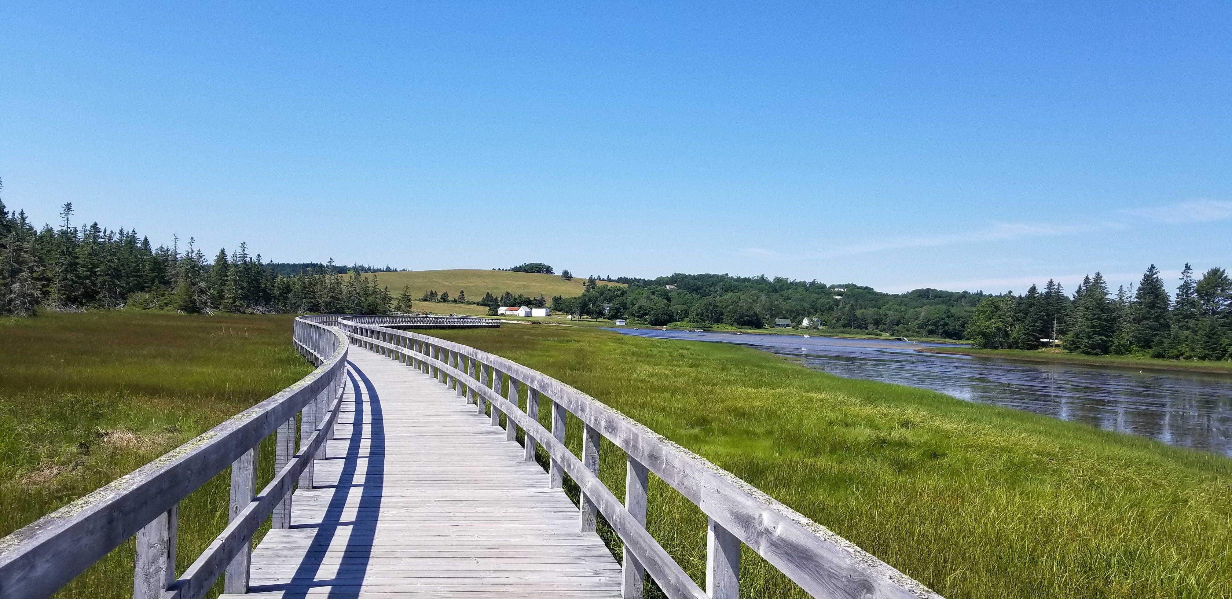 Rissers Beach Boardwalk