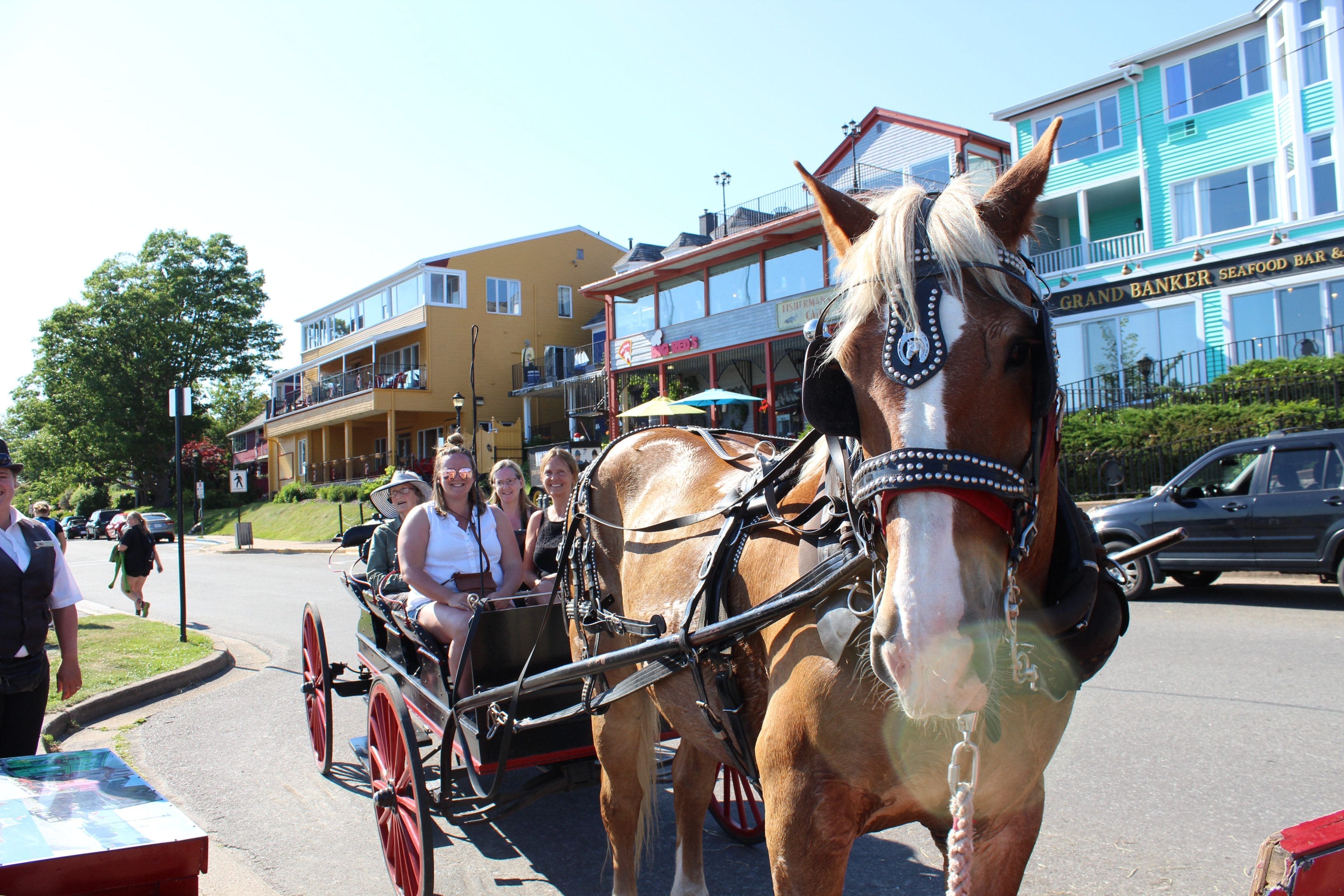 historic Lunenburg tours to trot