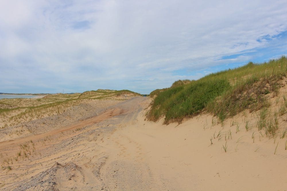 Sandy Hook beach