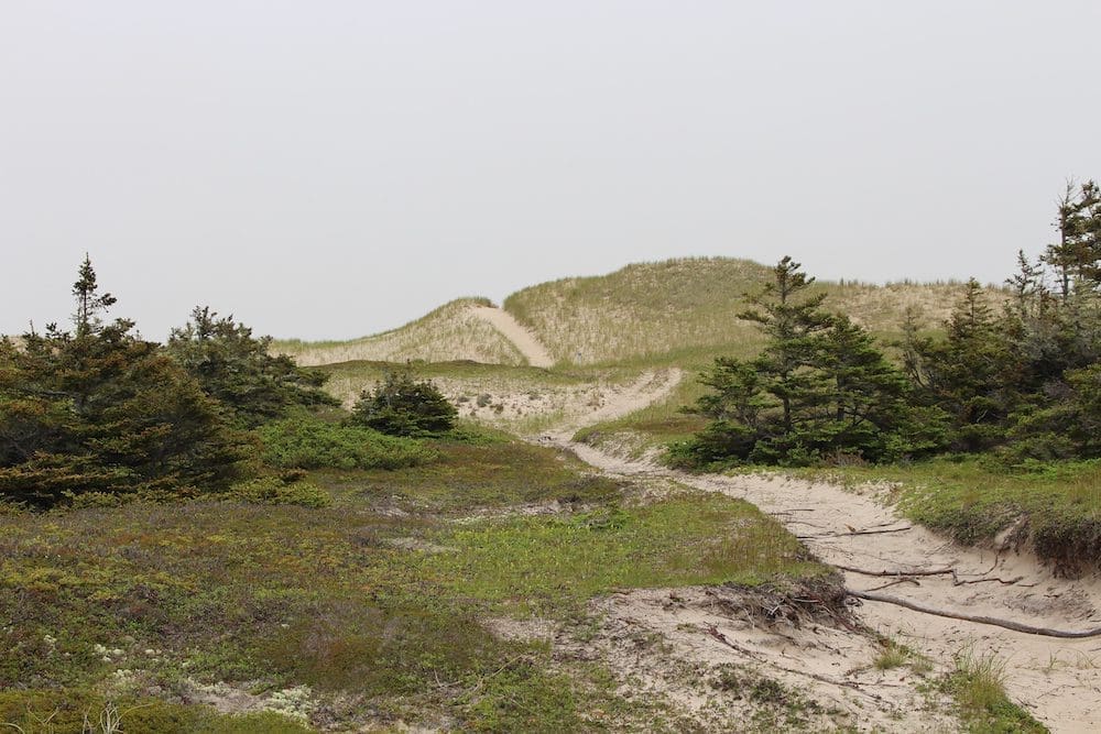 best beaches in the Magdalen Islands