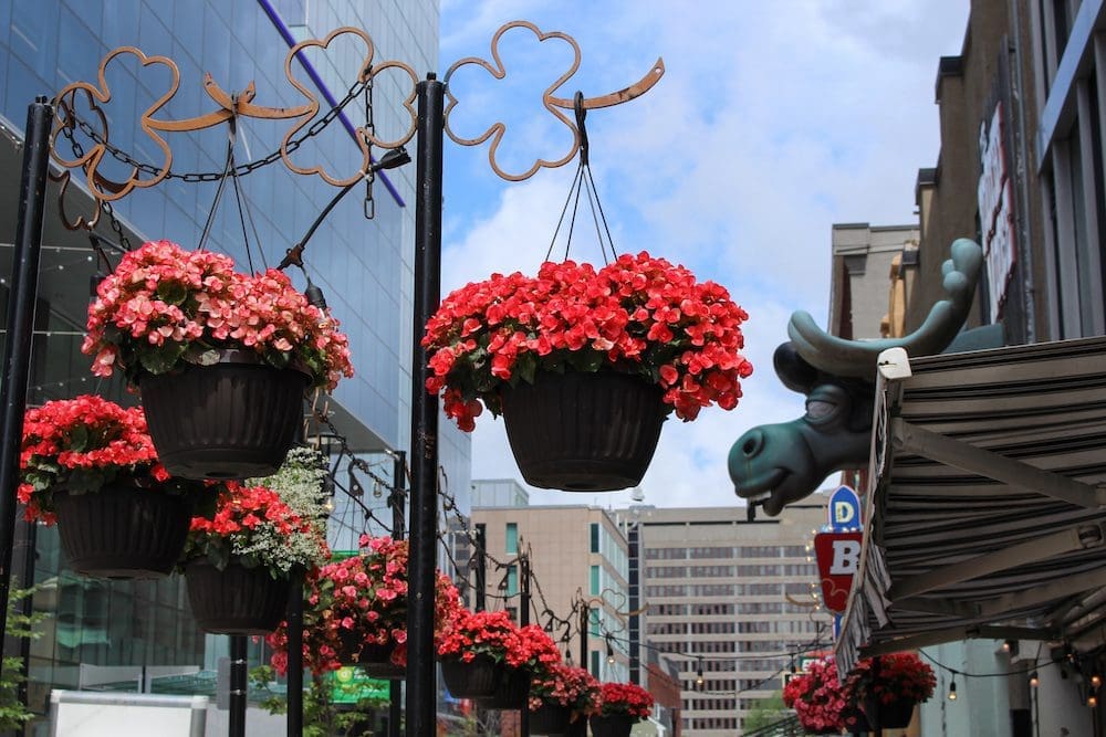 Patios in Halifax Nova Scotia