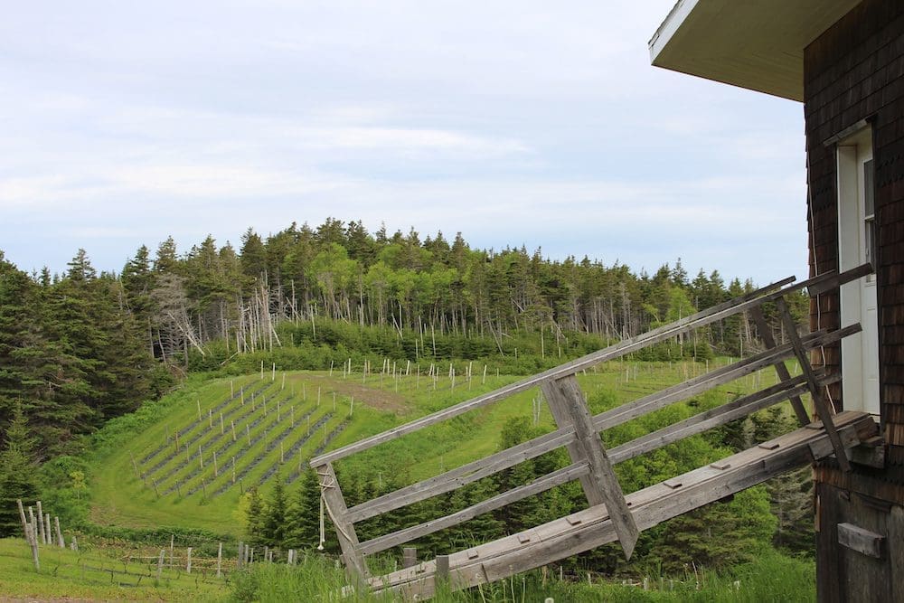Magdalen Islands Food Trail Winery