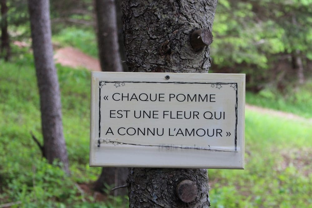 Magdalen Islands Orchard