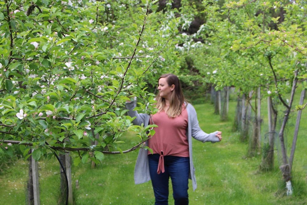 Magdalen Islands Food Trail Orchard