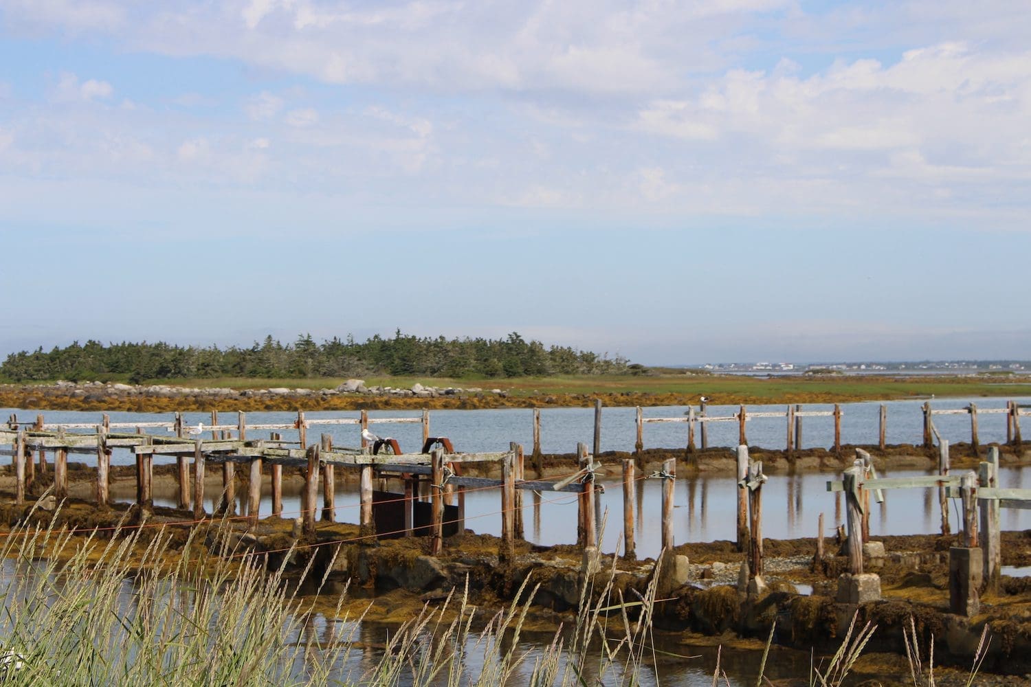 Cape Sable Island Nova Scotia