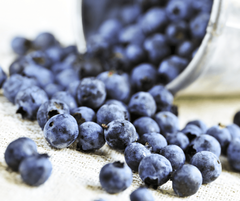 Canadian Wild Blueberries