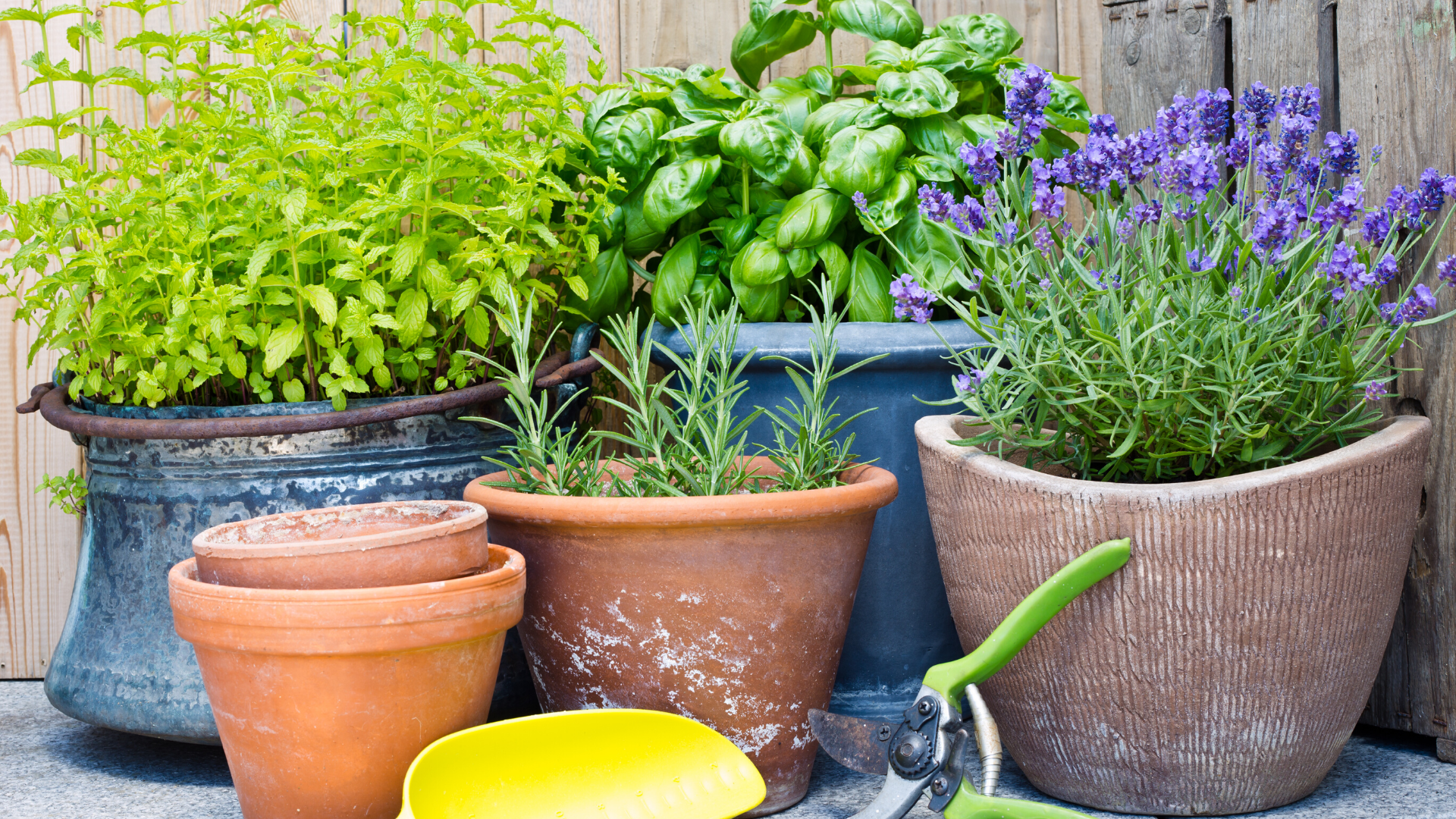 container gardening