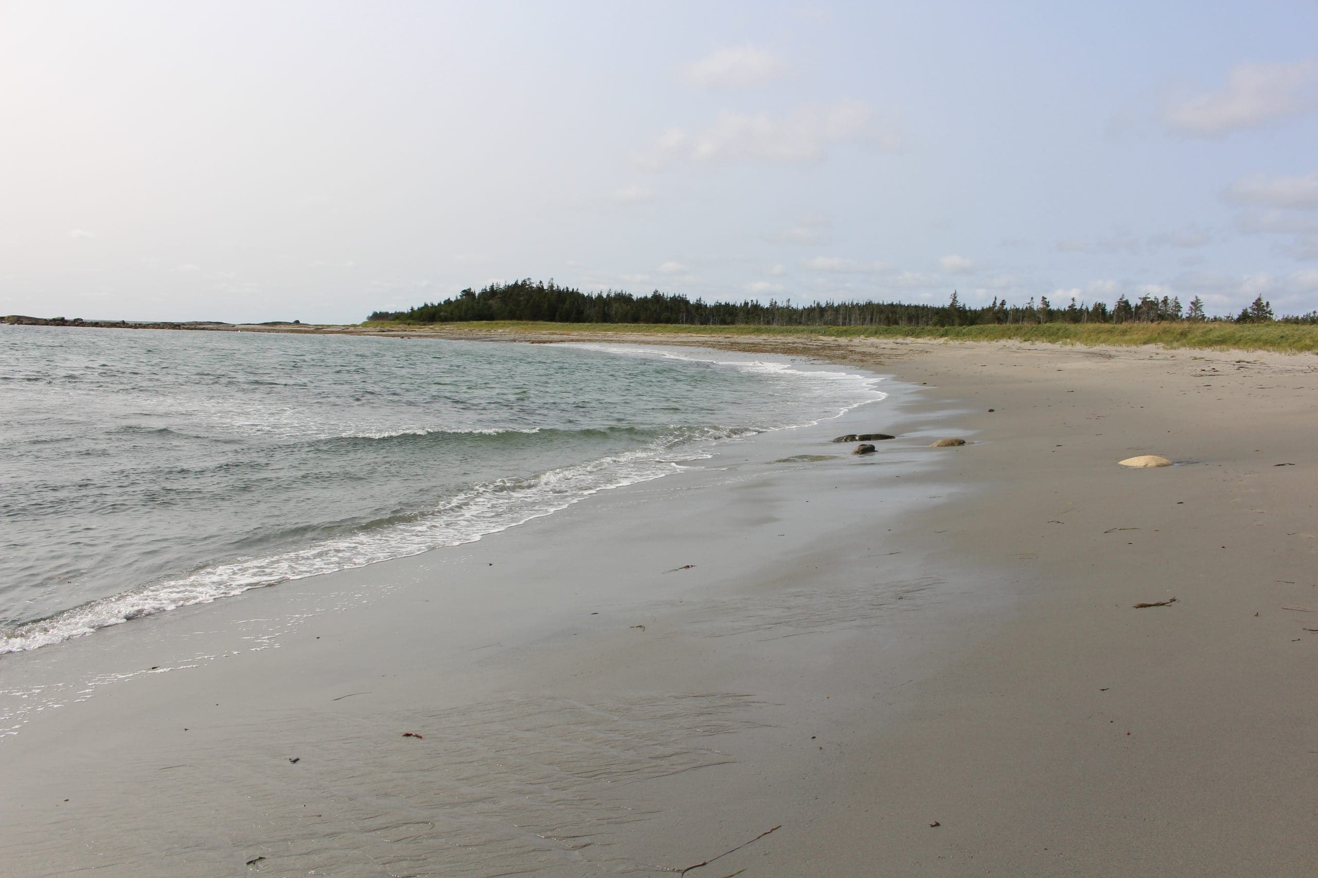 Tor Bay Provincial Park