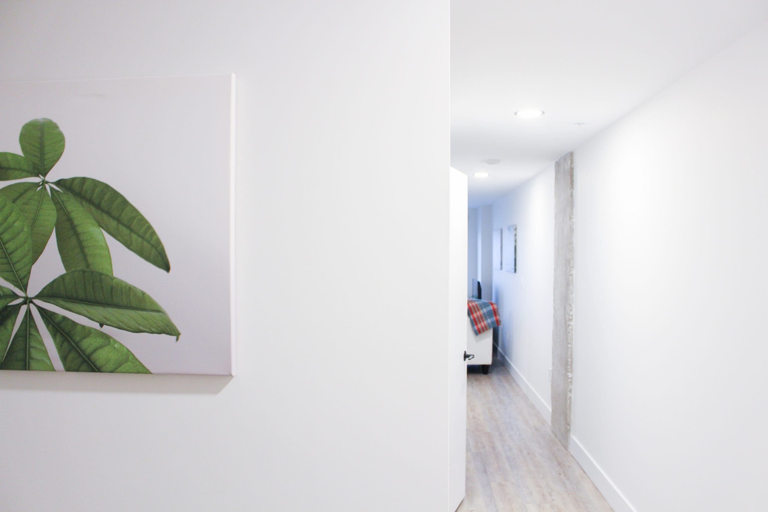 canvas plant prints