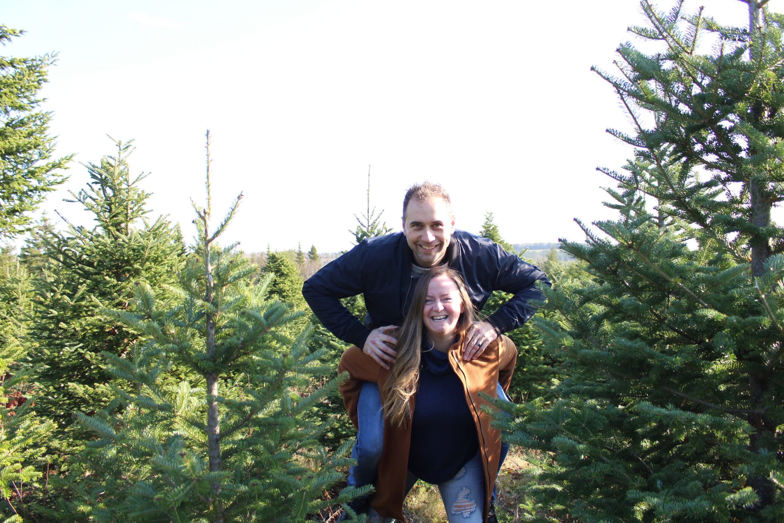 Christmas Tree Farms Nova Scotia