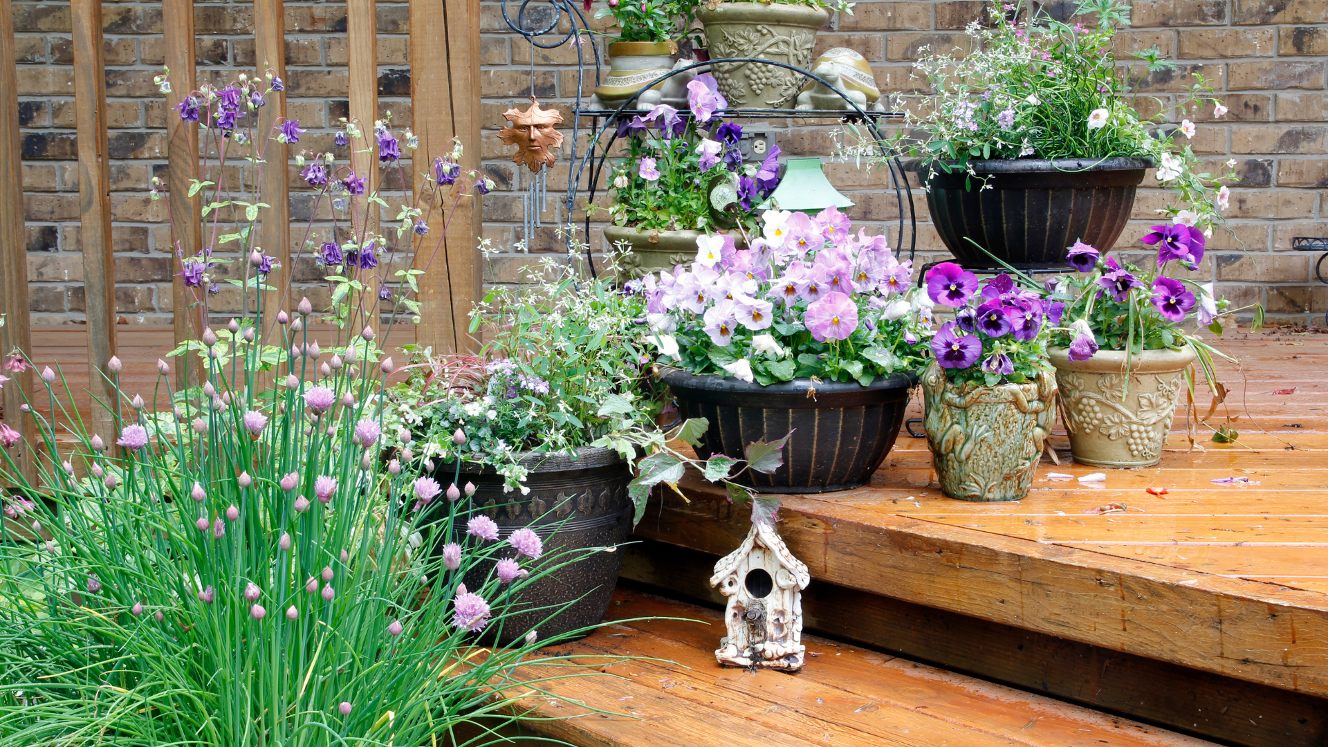 Ultimate Guide to Container Gardening