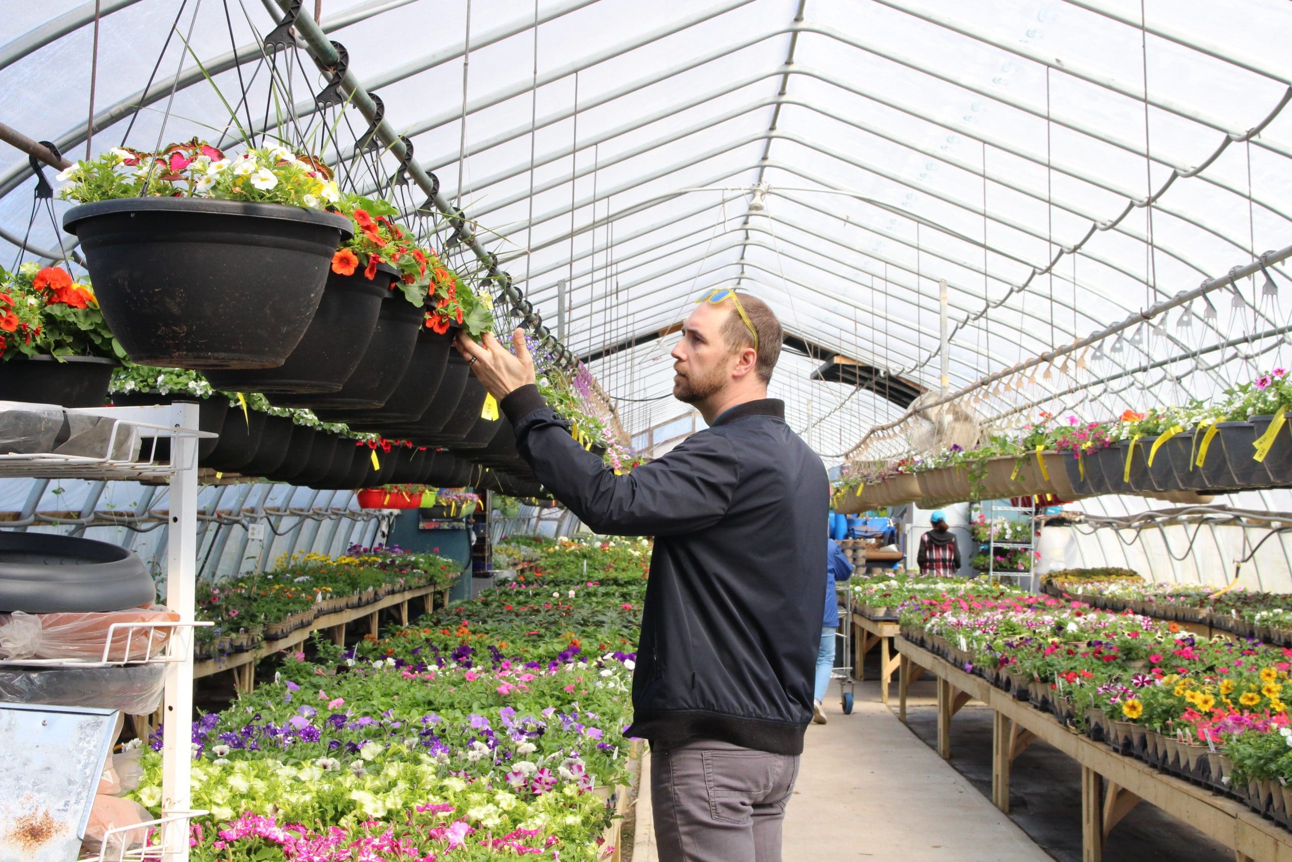 how to choose the right plants for a balcony garden