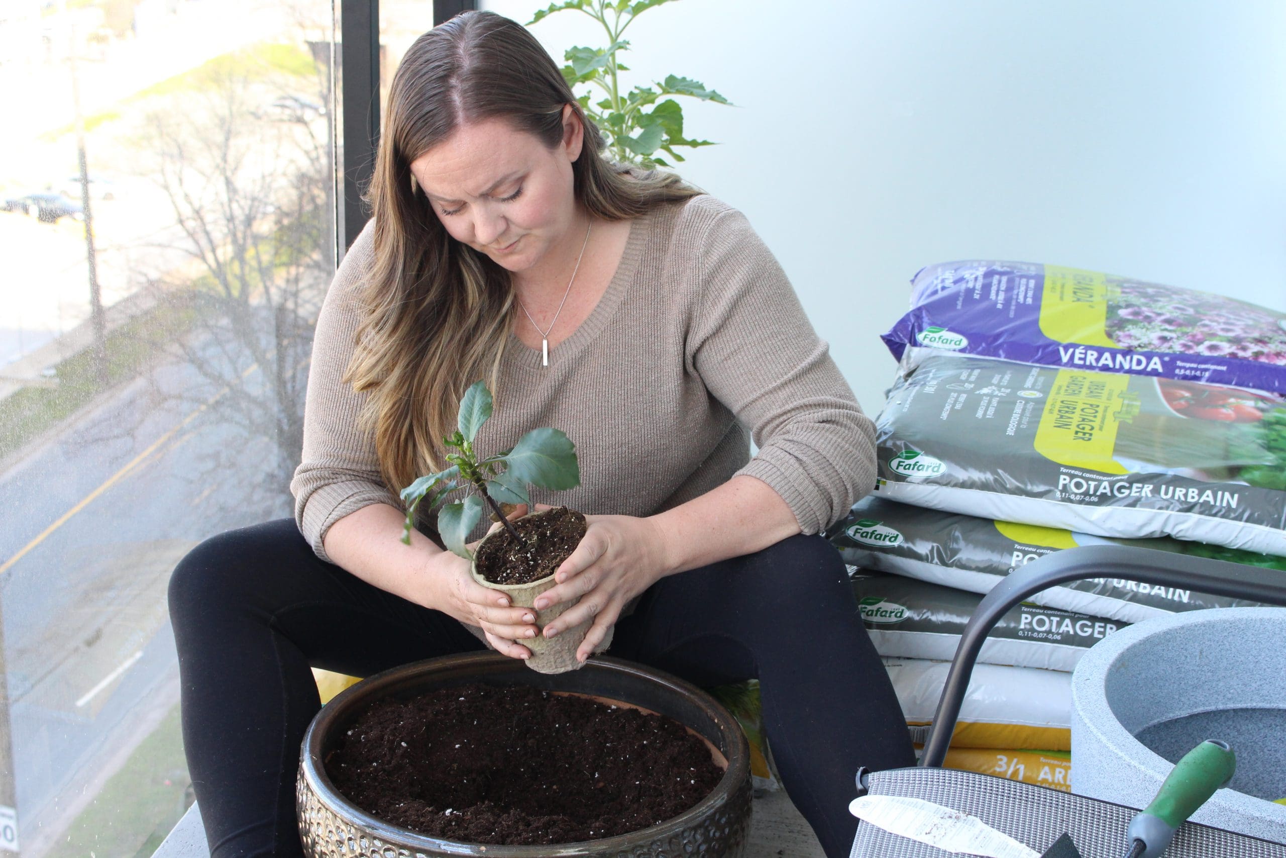 Choosing the right containers for a balcony garden