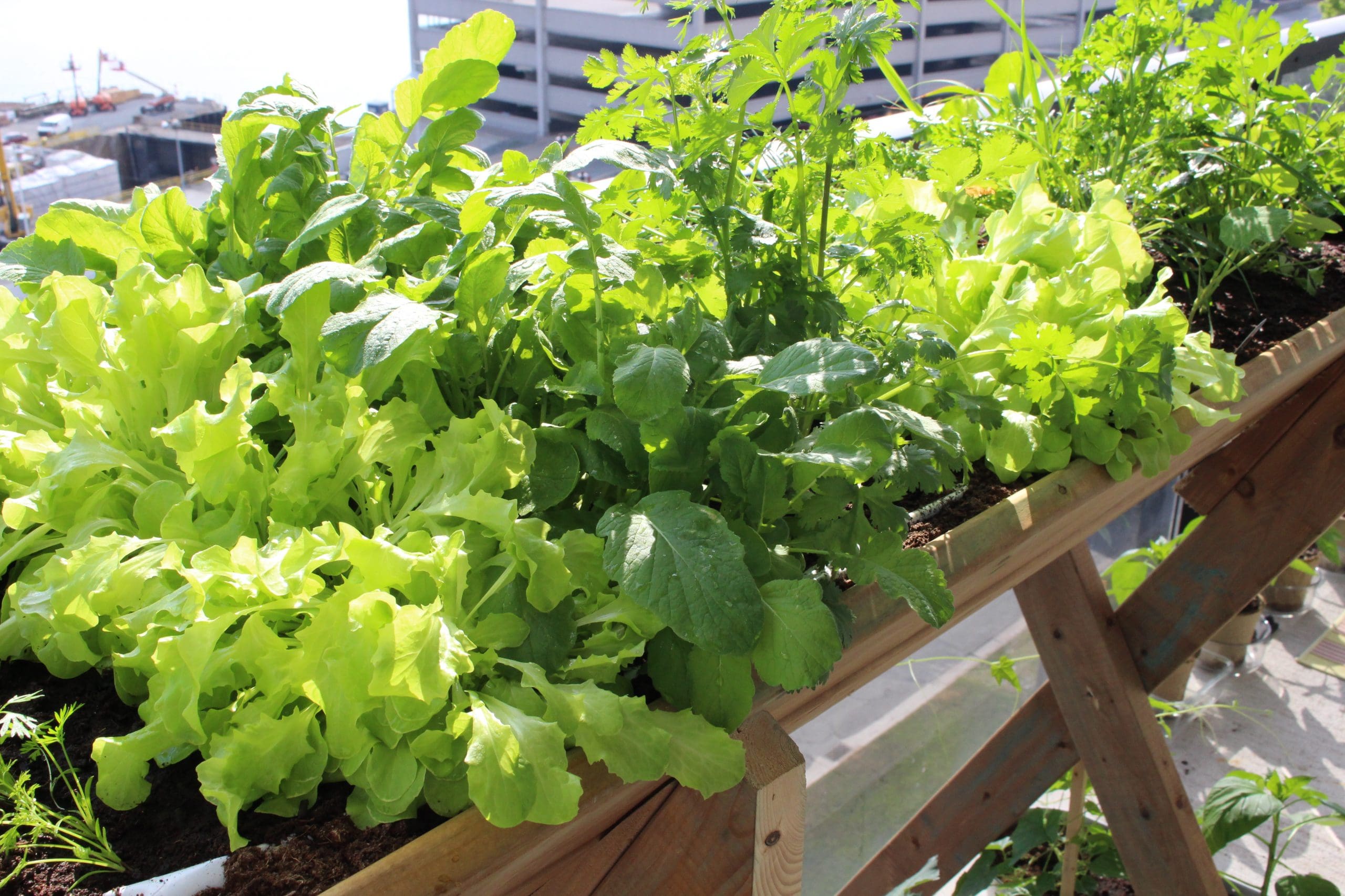 DIY upright planter box