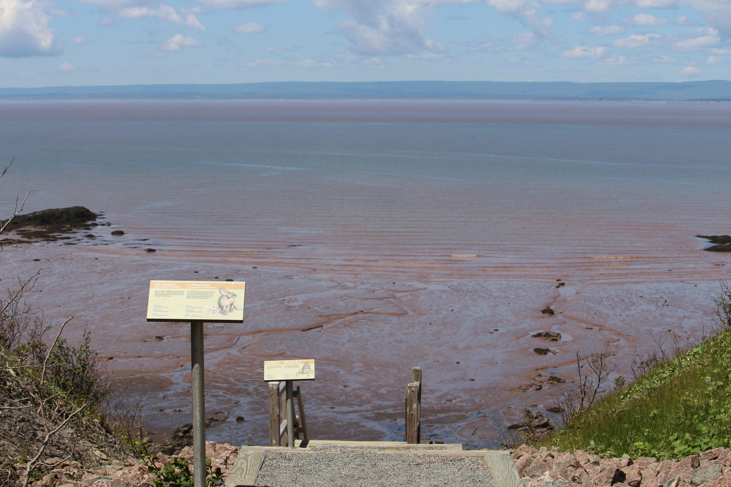 Joggins Fossil Cliffs