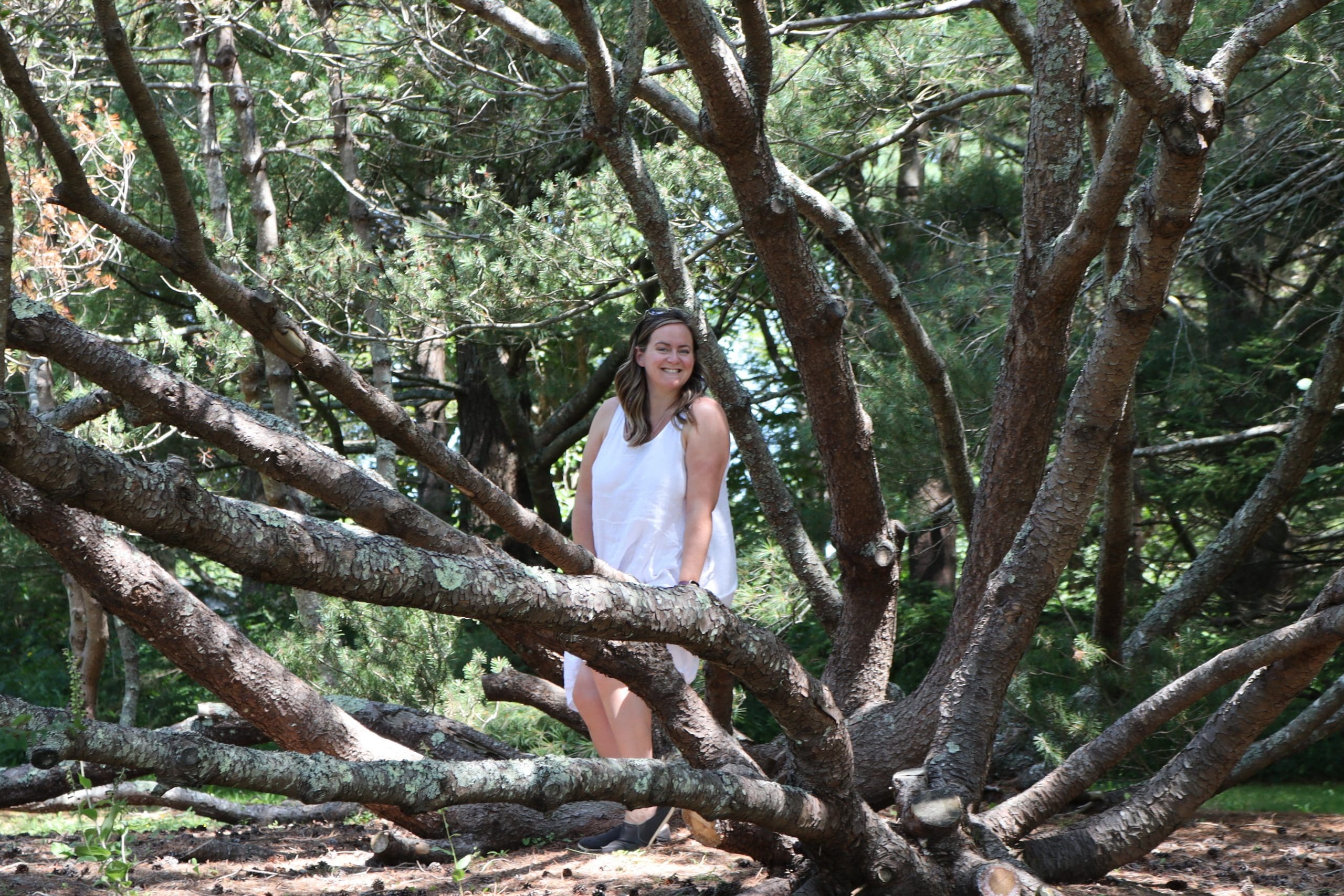 Annapolis Royal Historic Gardens