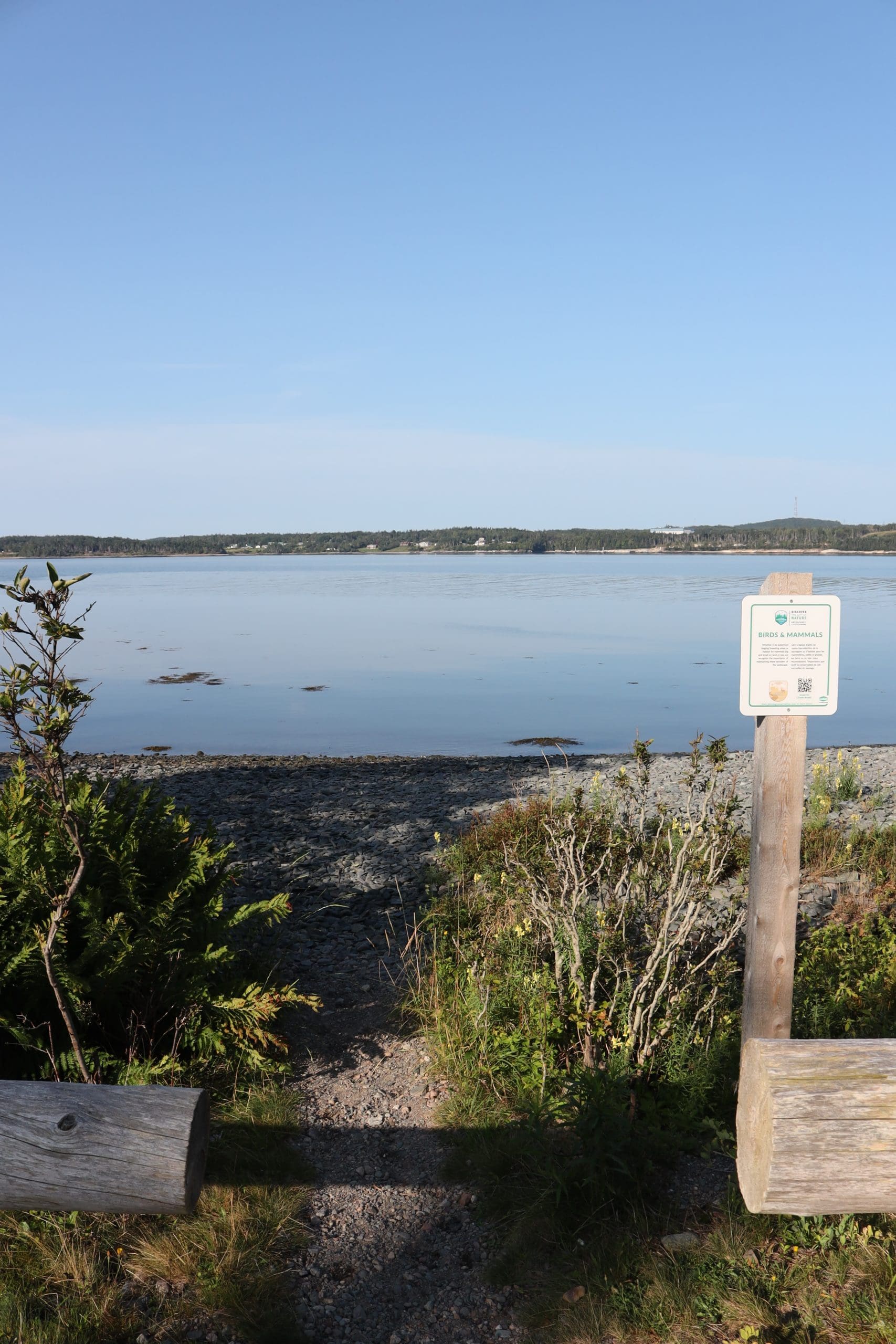 Irving Nature Park Saint John Nova Scotia to New Brunswick road trip