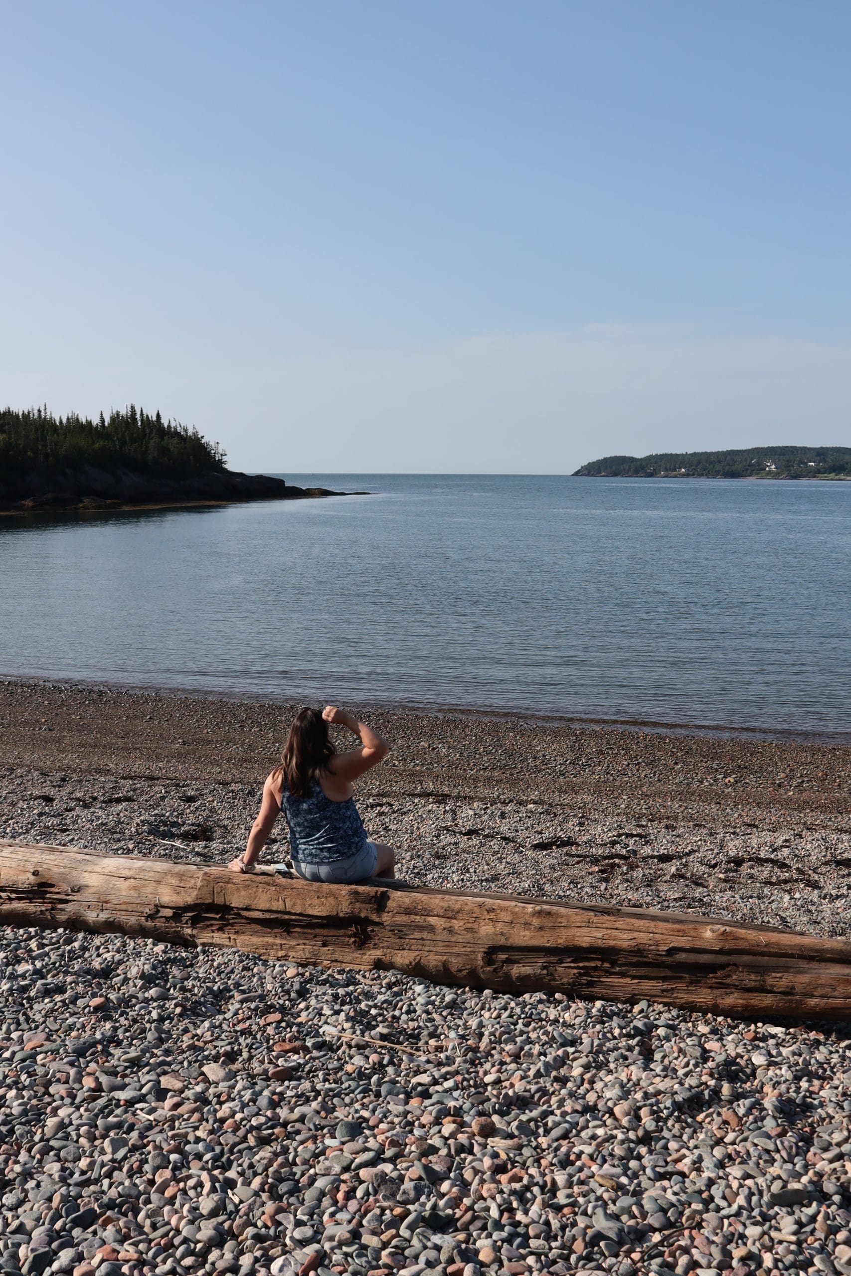 Irving Nature Park Saint John