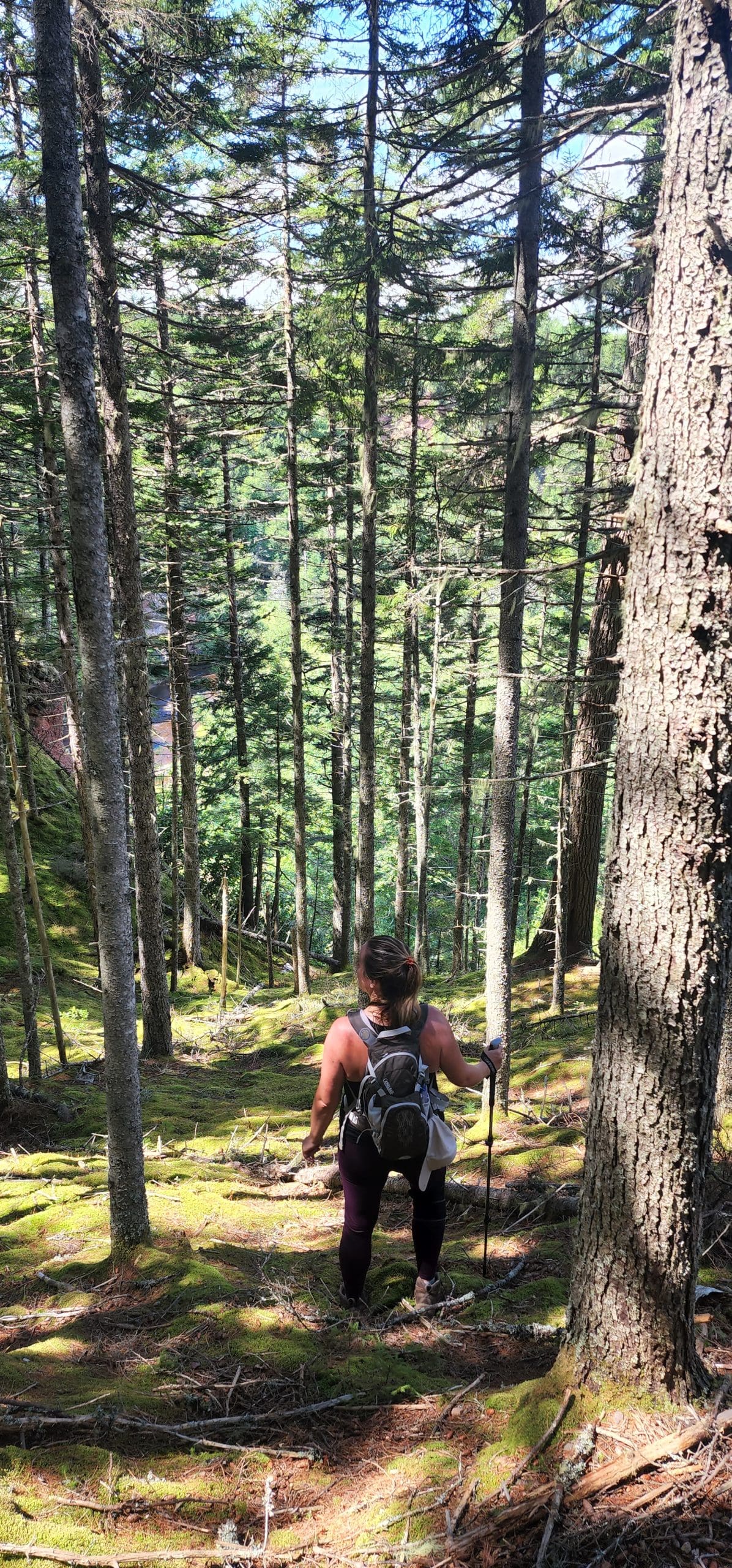 Devil's Bend Hiking Trail