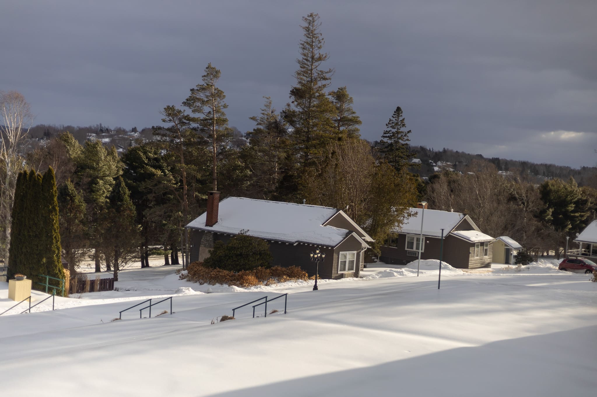 Digby Pines Winter